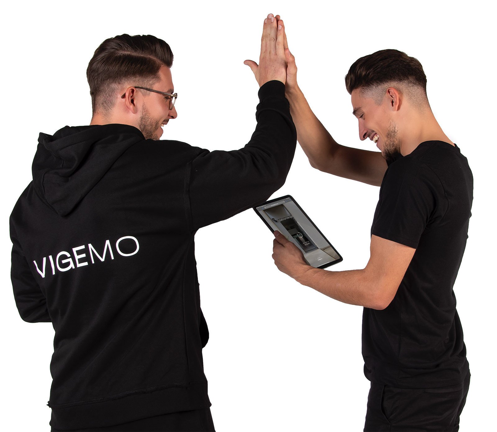 vigemo-leistungen-5-publizieren